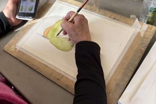 Drawing & Painting 5